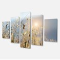thumbnail image 2 of Typical Tuscany Sunset Italy - Landscape Canvas Art Print, 2 of 3