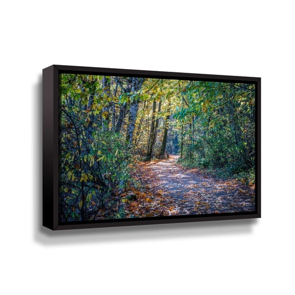 Artwall Fall Colours, Gallery Wrapped Floater-framed Canvas by Tim Oldford