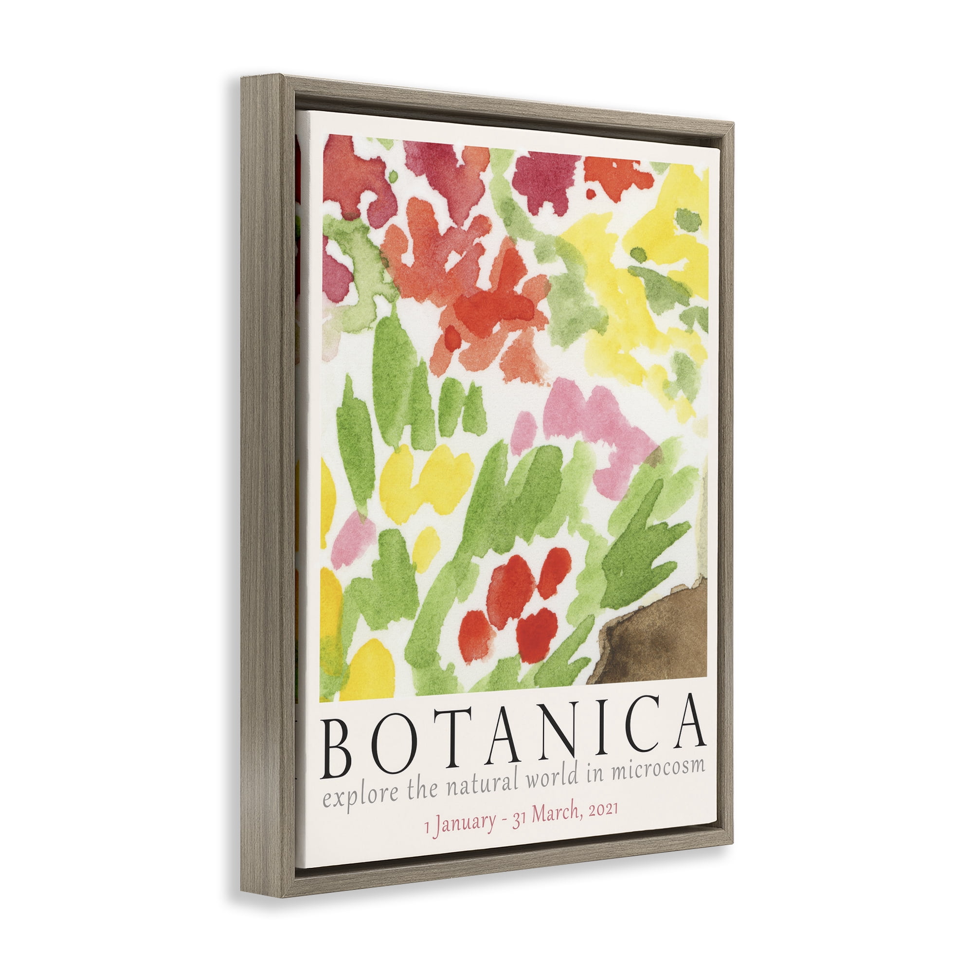 Stupell Industries Botanica Floral Museum Plants & Flowers Painting Brown Floater Framed Canvas Art Print Wall Art, 25 x 31