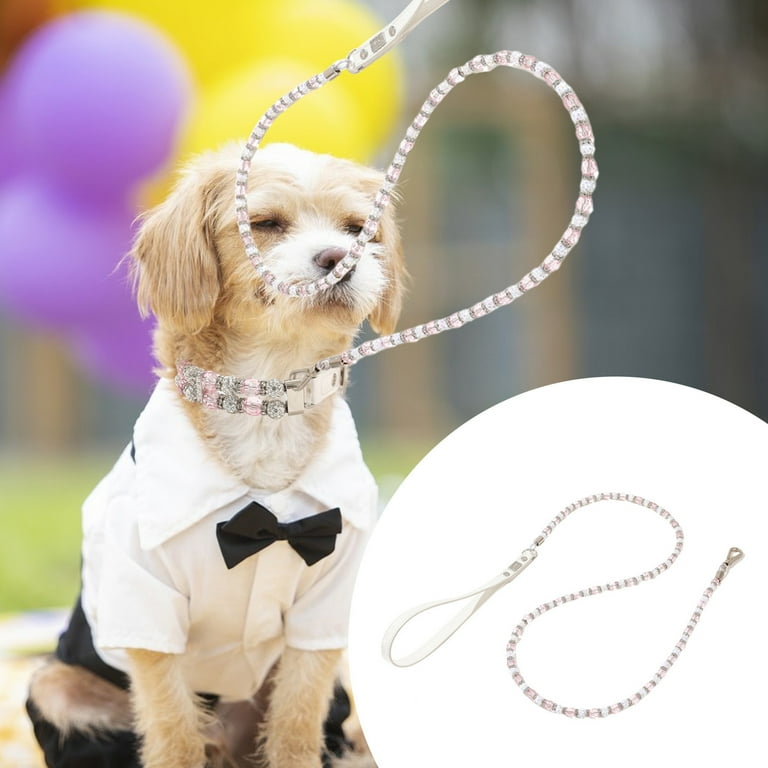 Friendly dog leash cheap