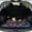 Mushroom Frog, variant on HUISEFOR Car Trunk Mat, Universal Car Trunk Mat 29" x 39", Mushroom Frog Cargo Mat Rear Trunk Liner Scratchproof Non-Slip Universal Fit for Most Vehicle