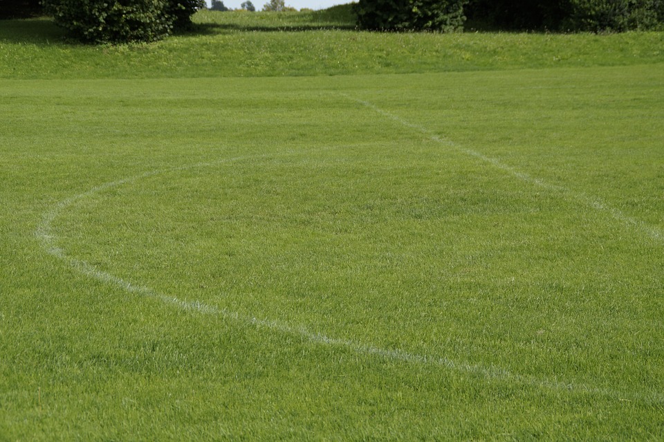 Types Of Grass Patterns