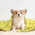 thumbnail image 4 of Pofeuu Cheese 1 Print Puppy Blanket,Dog Blankets,Pet Blanket Cozy Cat Blankets for Indoor Cats, Fuzzy Pet Blanket for Kitten Doggy Dog Blankets-Large, 4 of 8