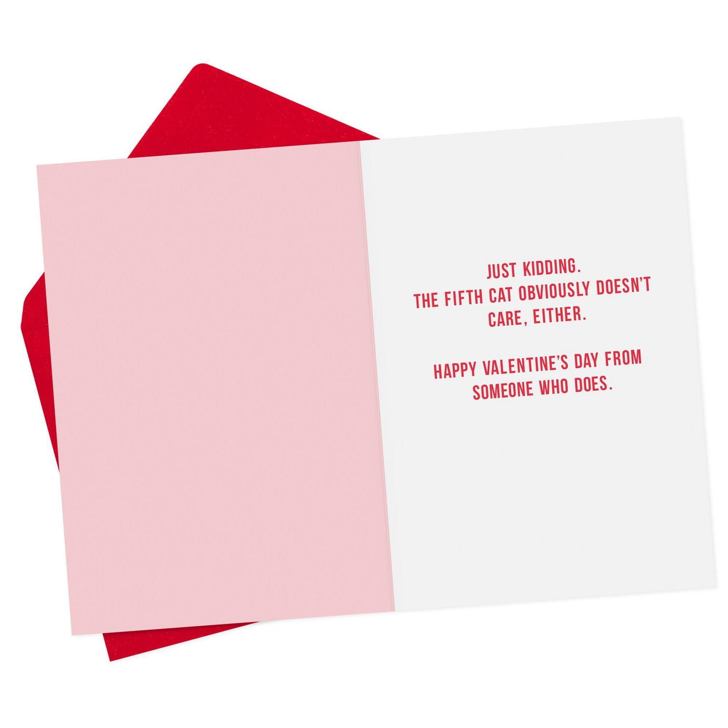 Hallmark Shoebox Pack of 4 Funny Valentine's Day Cards (Cats Don’t Care)