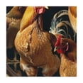 thumbnail image 4 of nygtbtfer Farm Rooster  Tablecloth  Circle Tablecloth Indoor and Outdoor Table Cover for Dining Party Decor 36*36, 4 of 8