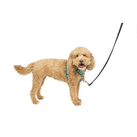 UPC: 0729849160156 | PetSafe 3 in 1 Harness  No-Pull Dog Harness and Car Restraint  Small  Teal