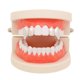 thumbnail image 1 of Juego de 2 parrillas para dientes de hip hop para hombre, color dorado y plateado, con colmillos de vampiro, tapas dobles para parrillas de rapero, joyería de moda para dientes, color plateado, 1 of 5