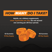 Alpha BRAIN® Cognitive Gummy (42 ct)