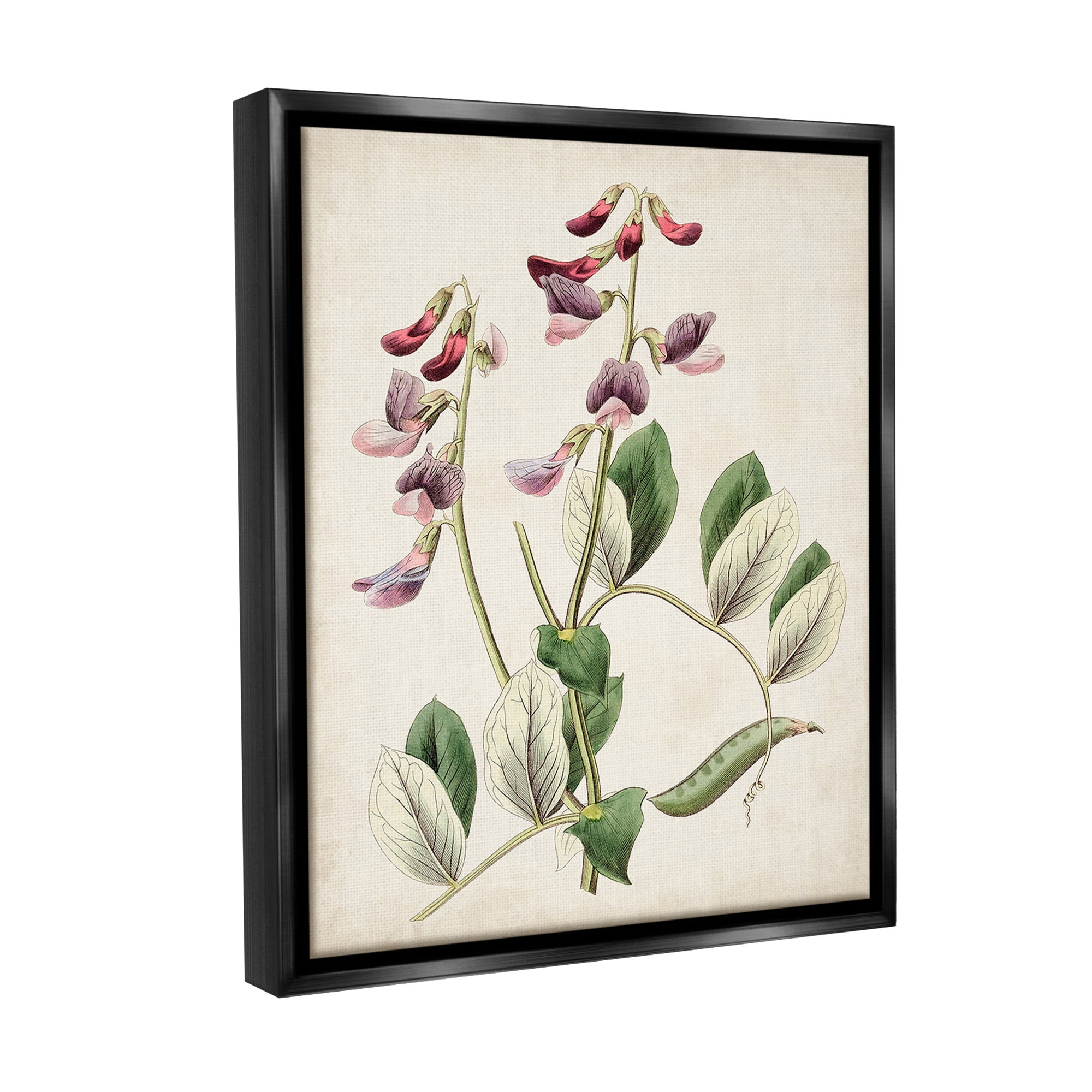 Stupell Industries Vintage Foxglove Study Botanical & Floral Painting Black Floater Framed Canvas Art Print Wall Art, 25 x 31