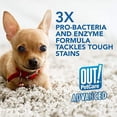 thumbnail image 3 of OUT! Advanced Severe Stain & Odor Remover Dog Spray Cleaner, 3 of 6