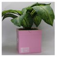 thumbnail image 3 of Sneakers Box Planter Pot 3D Printed - Pink Lighter Sneakers Box Decor- Plant Pot for Indoor Plants- Unique planter for indoor with Drainage hole - MADE IN USA, 3 of 4