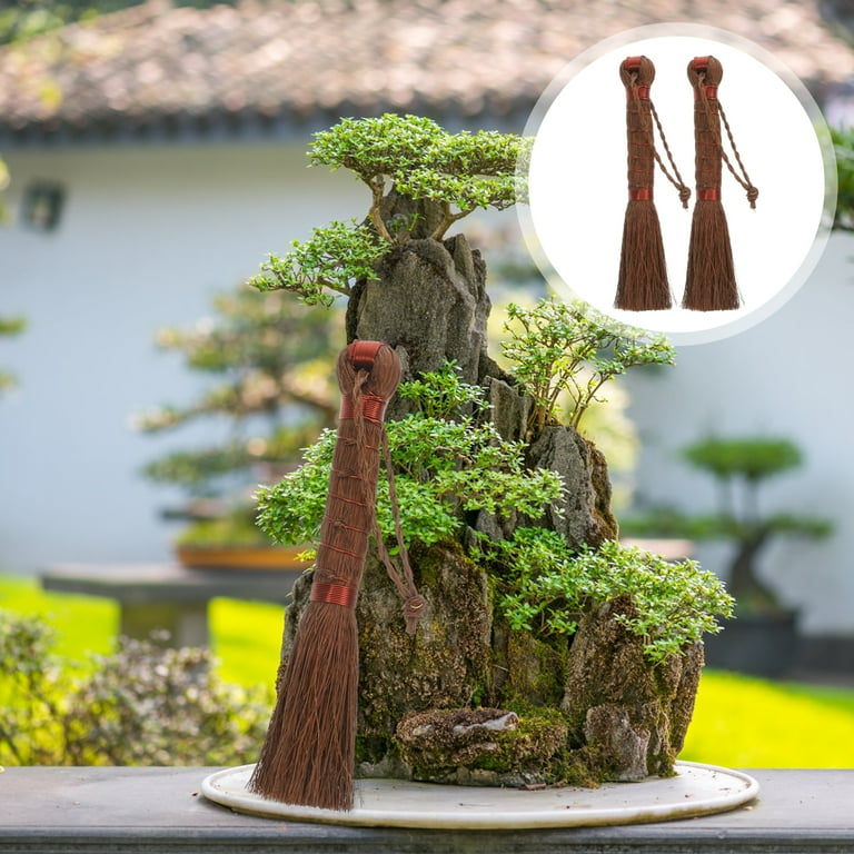 LEXSOMEO Bonsai Planter Broom Handheld Brooms Washing Brush Bonsai Cleaning  Brush for Garden - Walmart.com