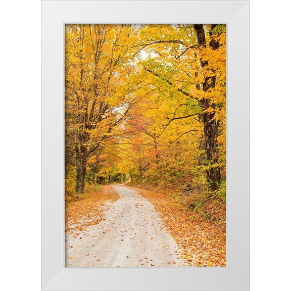 Gulin, Sylvia 11x14 White Modern Wood Framed Museum Art Print Titled - USA-New England-Vermont tree-lined roadway in Autumns Fall colors