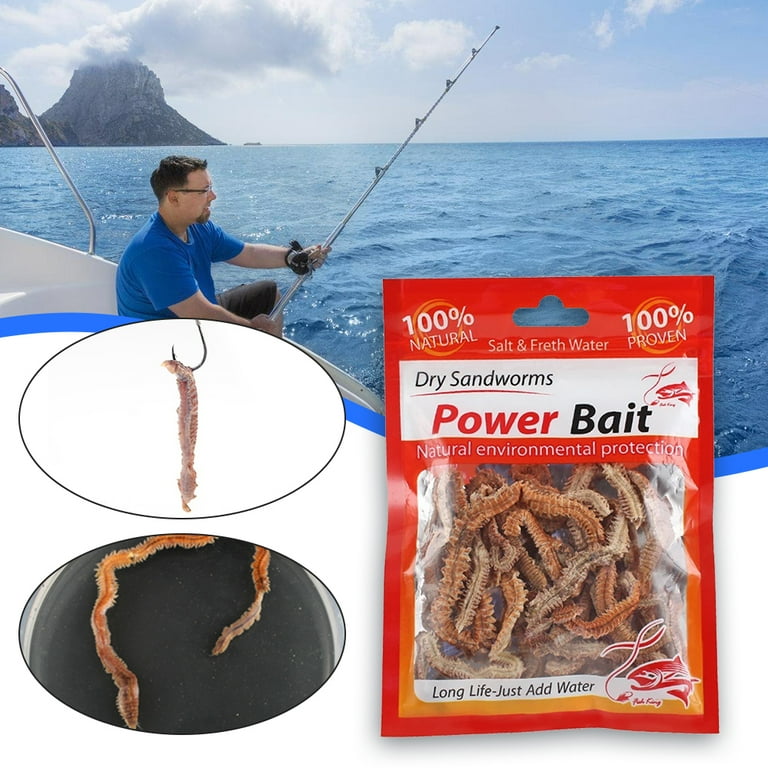 Dry Sandworms Fishing Lure Saltwater Feeder Worms Sea Fish Smell