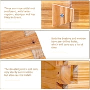 BeeCastle 10 Frame Langstroth Bee Hive with Windows Beeswax Coated Includes Beehive Frames and Waxed Foundations (2 Deep Beehive Boxes & 2 Medium Bee Boxes)