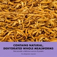 Zilla Reptile Munchies Mealworm Resealable Bag, 3.75 Ounces
