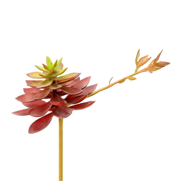 Vickerman 6" Artificial Black Prince Echeveria Pick, Set of 3