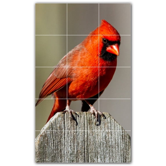 Picture-Tiles.com: Bird Ceramic Tile Wall Mural WAL500160-35M. 18"W x 30"H using (15) 6" x 6" Ceramic Tiles-Satin Finish
