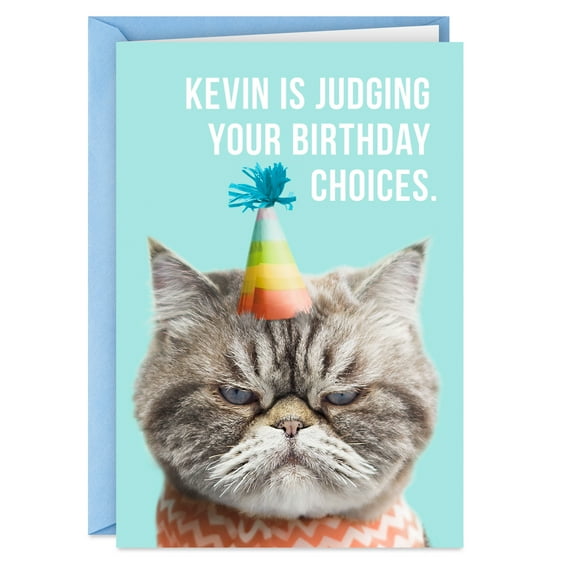 Hallmark Shoebox Funny Birthday Greeting Card (Judgmental Cat in Party Hat)