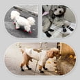 thumbnail image 3 of 4PCS Anti-Slip Cute Pet Paw Protectors Waterproof Warm Dog Foot Covers Winter Dog Shoes Puppy Boots Dog Snow Shoes BLACK M 3-7.5KG, 3 of 8