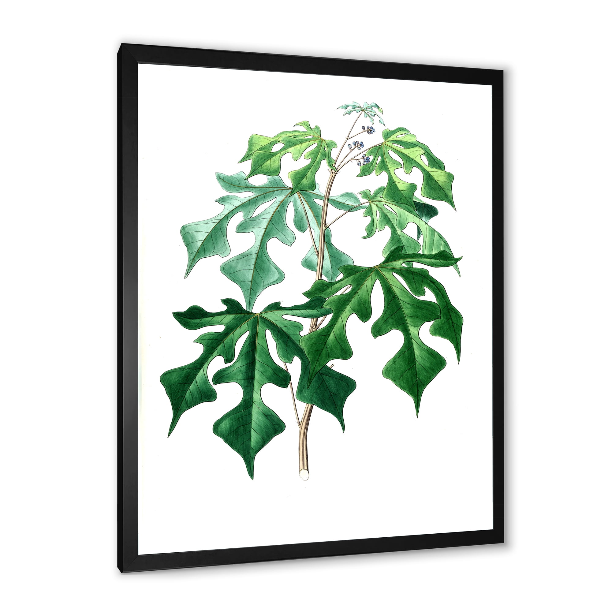 Designart 'Ancient Green Leaves Plants II' Traditional Framed Art Print