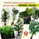 thumbnail image 5 of Planta artificial moderna decorativa Real Style Palmera Hawaii grande de 150cm de alto Artego para hogar sala comercio oficina, 5 of 9