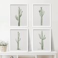thumbnail image 2 of PixonSign Framed Southwest Saguaro Desert Cactus Wall Art, Set of 4 Nature Wilderness Succulents Plants Wall Prints, Botanical Floral Wall Décor, Modern Relax Clam Home Artwork - 11"x14" White, 2 of 5