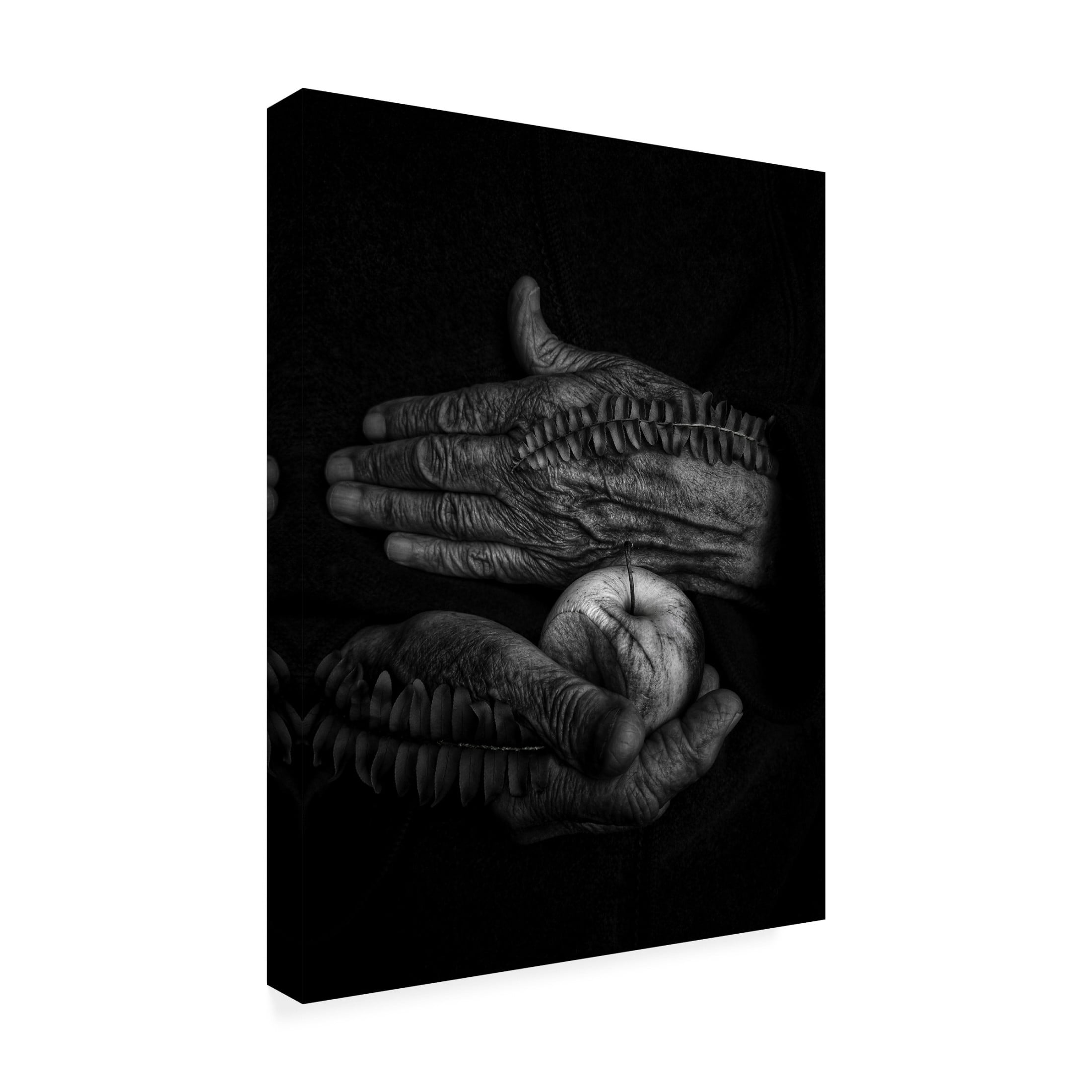 Trademark Fine Art Ingrida Urbonavi?ien?  A wound Canvas Wall Art
