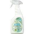 Earth Friendly Products Stainless Steel Cleaner And Polish, 22 Oz