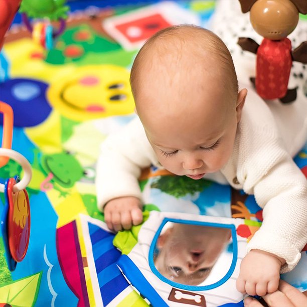 Baby einstein caterpillar and clearance friends play activity gym