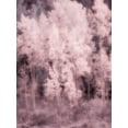 thumbnail image 2 of Eggers, Terry 12x14 Black Ornate Wood Framed with Double Matting Museum Art Print Titled - USA-Utah-Aspen Grove in infrared of the Logan Pass area, 2 of 4