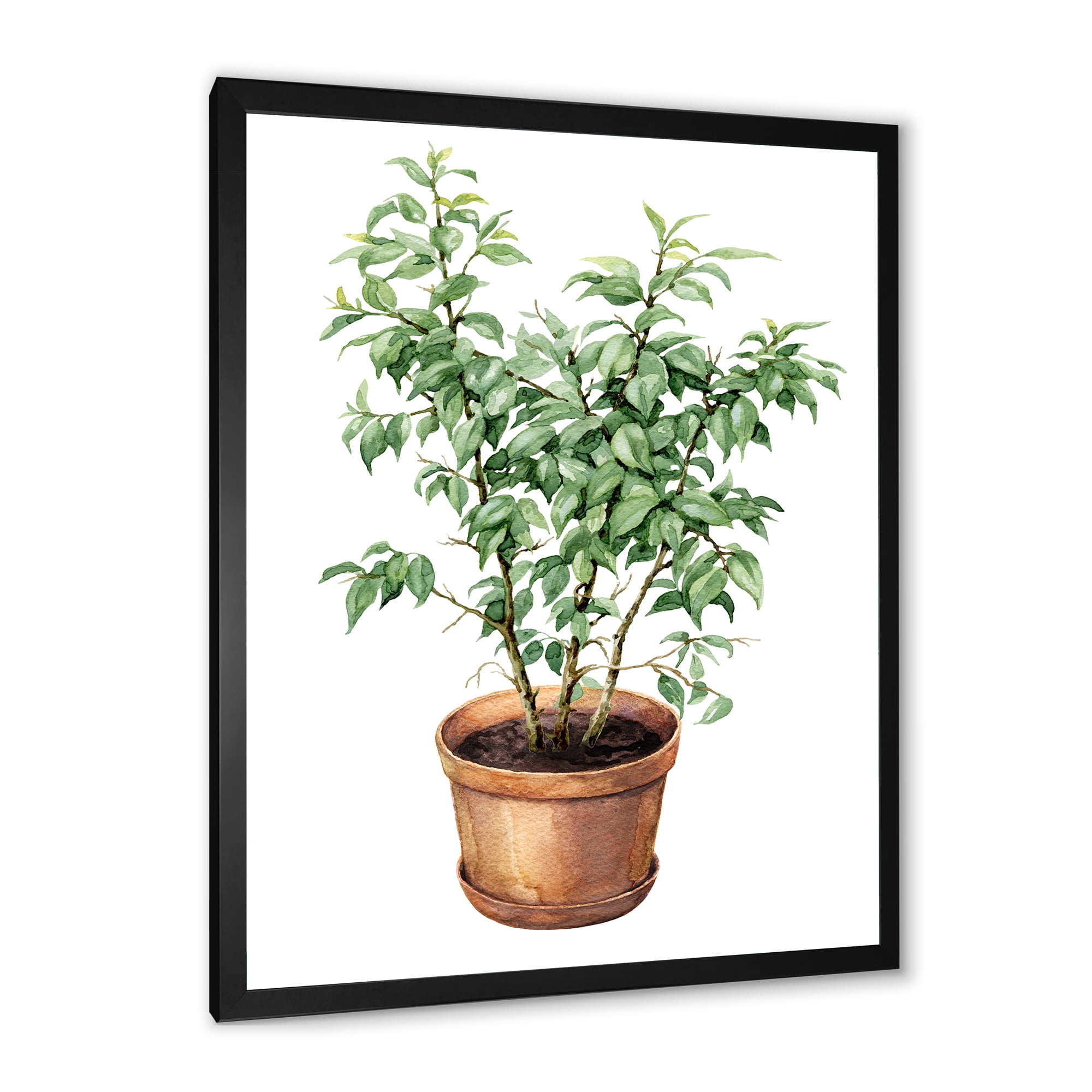 Designart 'Ficus Benjamina Plant In Clay Flowerpot' Traditional Framed Art Print