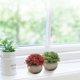 thumbnail image 3 of 2 uds planta Artificial en maceta bola de césped de plástico decoración creativa maceta de flores falsas decoración de paisaje plantas verdes, 3 of 5