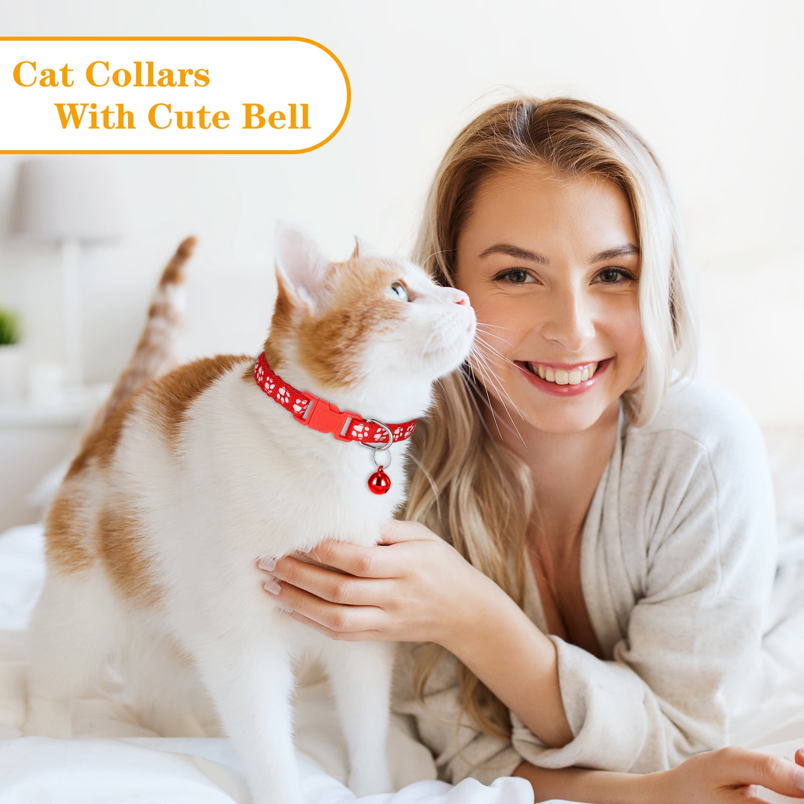  MLB CAT Collar St Louis Cardinals Satin Cat Collar Baseball  Team Collar for Dogs & Cats. A Shiny & Colorful Cat Collar with Ringing  Bell Pendant : Everything Else