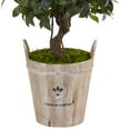 thumbnail image 3 of Nearly Natural 4.5ft. Green Sweet Bay Double Topiary Artificial Plant in Farmhouse Planter, 3 of 6