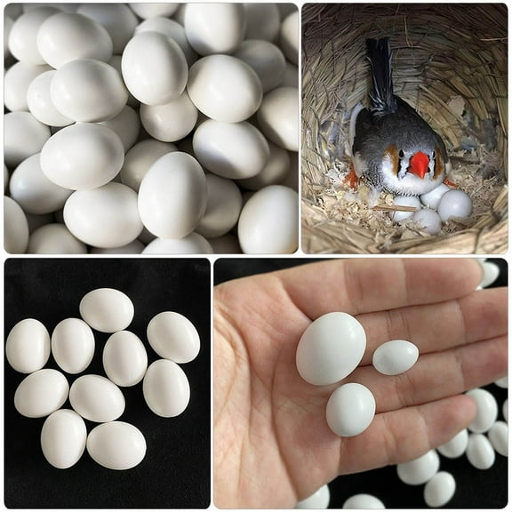 Hemobllo Nest Eggs Artificial Simulated Eggs White Pigeon Coop Supplies Easter 12Pcs