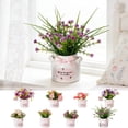 thumbnail image 7 of SLYNSHome Artificial Pot Flowers Small Fake Plants with Vase Mini Potted Plants for House Office Tabletop Decoration, 7 of 7