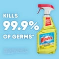 thumbnail image 5 of Windex Disinfectant Cleaner Multi-Surface Citrus Fresh, Spray Bottle, 23 fl oz, 5 of 15