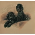 thumbnail image 2 of Dawson, Lucy 21x20 Gold Ornate Wood Framed with Double Matting Museum Art Print Titled - Poodles, 2 of 4