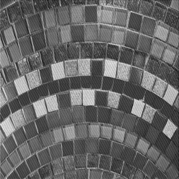 Ahgly Company Indoor Square Patterned Black Eel Black Area Rugs, 6' Square