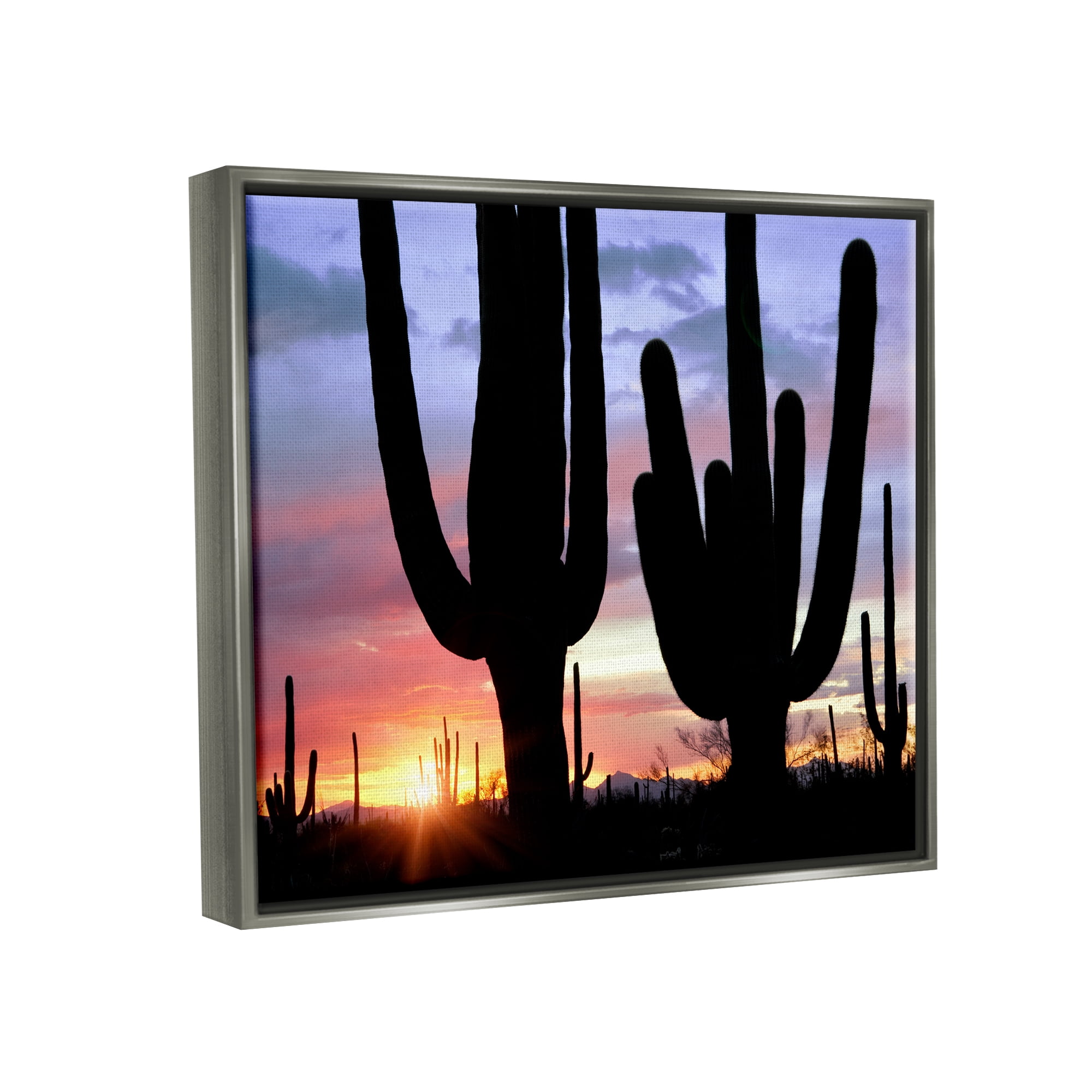 Stupell Industries Desert Cactus Sunset Silhouettes Landscape Photography Gray Floater Framed Art Print Wall Art