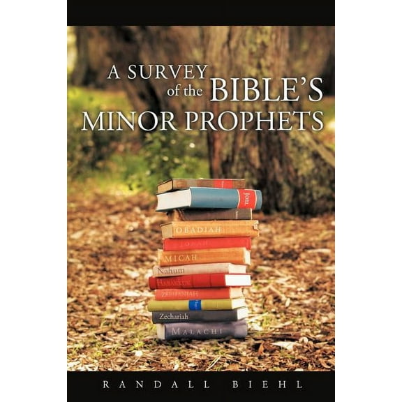 A Survey of the Bible's Minor Prophets, (Paperback)