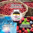 thumbnail image 6 of LOVITA Women's Care Supplement – Supports Urinary Tract & Digestive Health with D-Mannose, Cranberry & Probiotics – 120 Vegan Capsules, 6 of 7