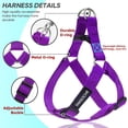 thumbnail image 3 of DMISOCHR Dog Harness and Leash Set with Collar - Step in No Pull Dog Harness, 3 of 5