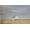 Unframed, variant on Art.com Farm Life Long Ago 2 Photographic Print, 18" x 12"