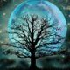 thumbnail image 1 of Cuadros Decorativos Kit de pintura de diamante 5D mosaico de taladro redondo de árbol de luna DIY (B3413) Sywqhk Nuevos Originales, 1 of 9