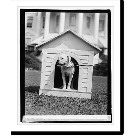 Historic Print, O'Boy, Mrs. Harding's dog, 8/11/21, 16" x 20"