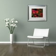 thumbnail image 3 of Trademark Fine Art "Beauty of Summer Blooms Red" Canvas Art by Kurt Shaffer, White Matte, Silver Frame, 3 of 4