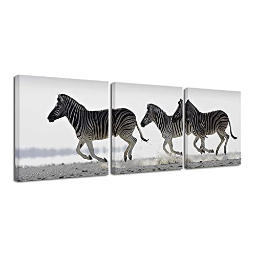 Pyradecor Zebra Canvas Prints Wall Art Black and White Animals Pictures Paintings for Living Room Bedroom Bathroom Home Decorations 3 Piece Modern Str