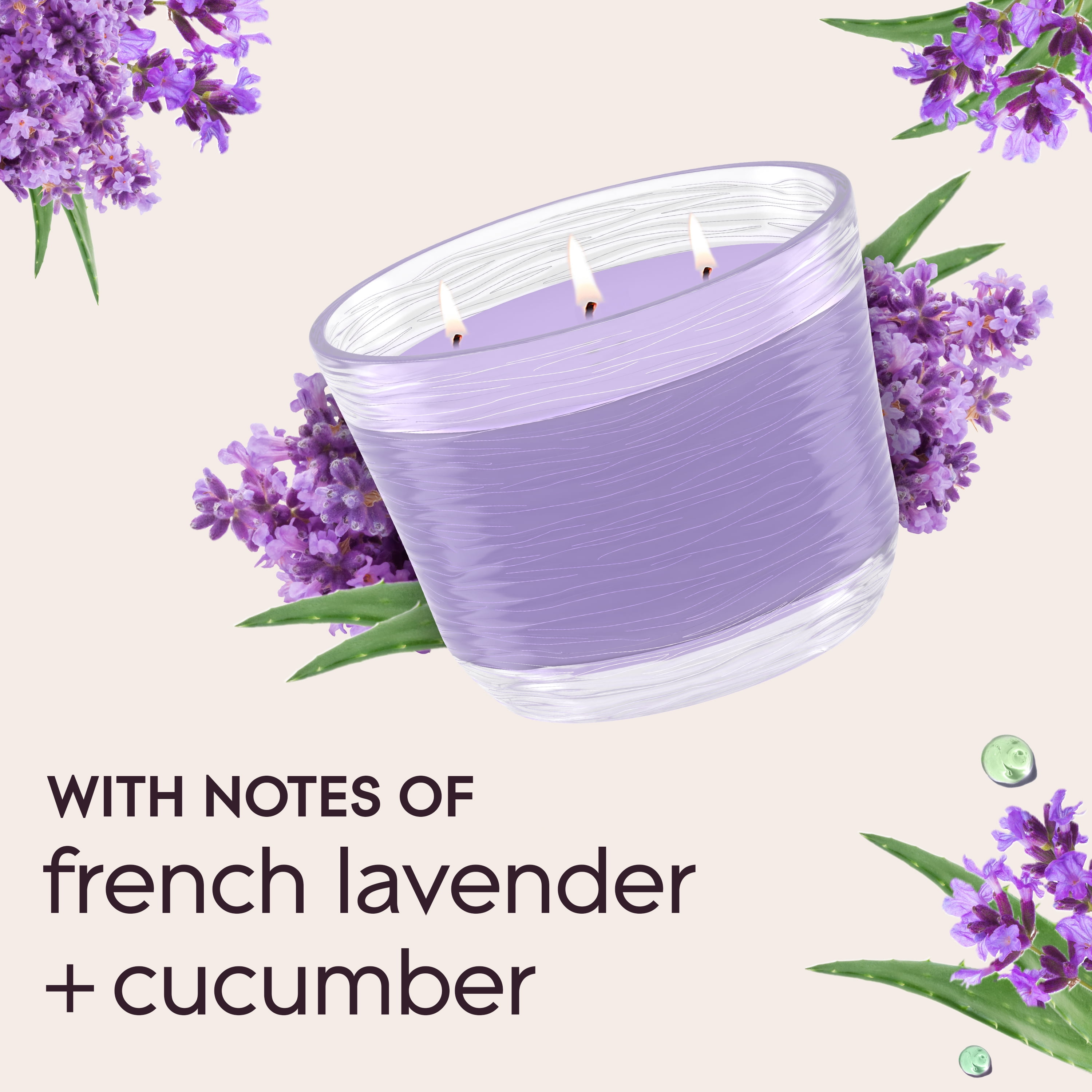Glade 3-Wick Candles, Tranquil Lavender & Aloe, 6.8 oz, 3 Count